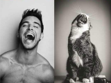Cats looking like male models