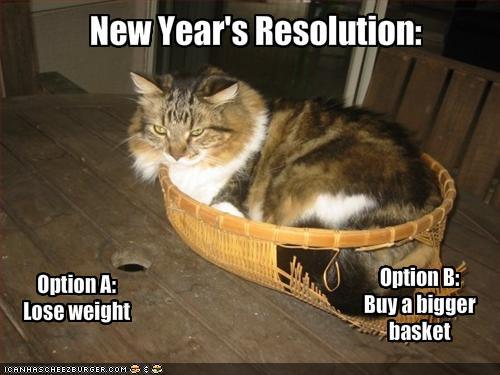 a cat's new year resolution